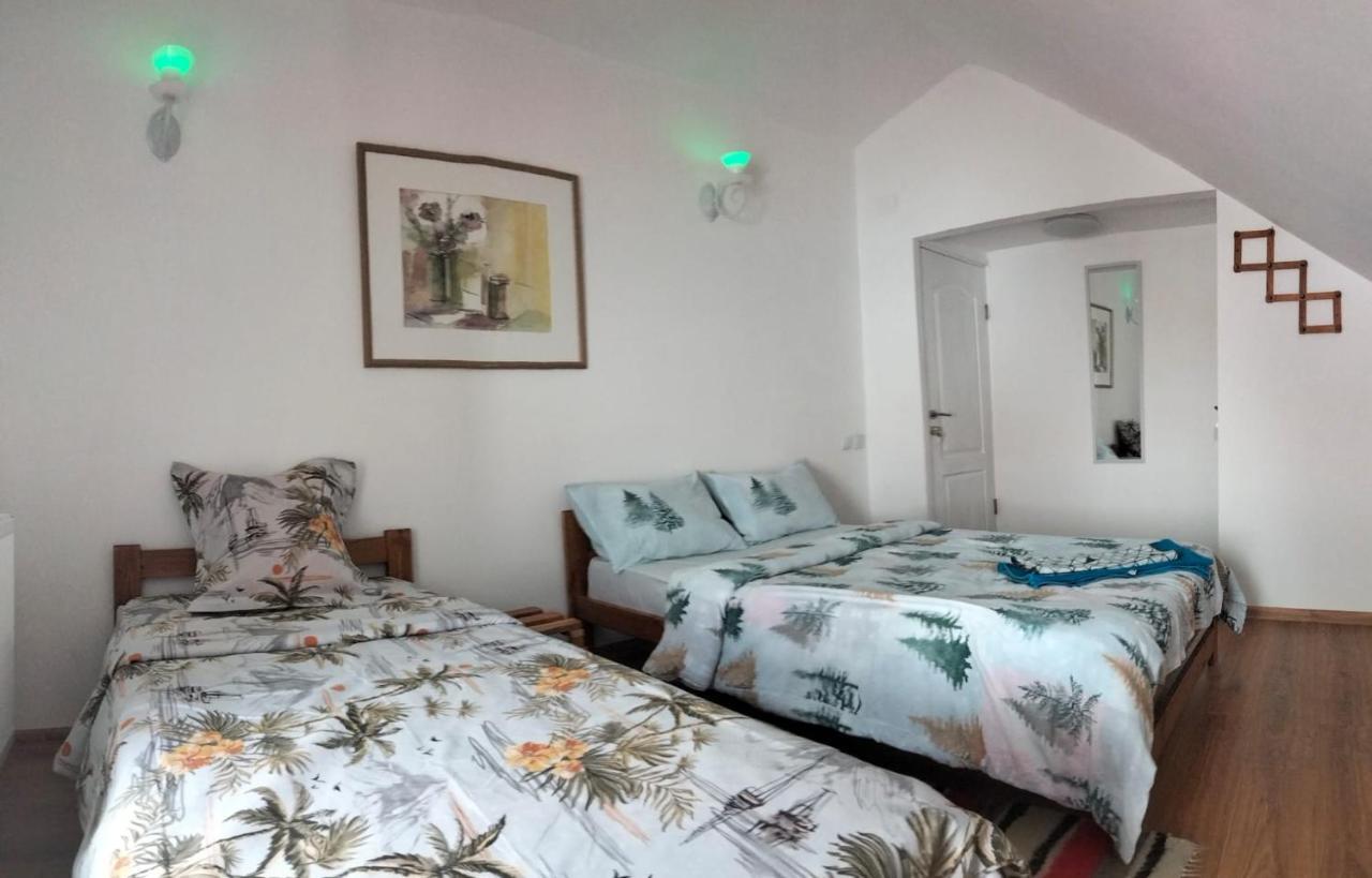 Doi Iepuri Apartment อาซูกา ภายนอก รูปภาพ